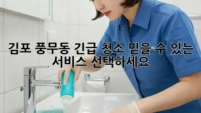 김포 풍무동 긴급 청소, 믿을 수 있는 서비스 선택하세요!