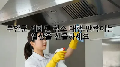 부안군 계화면 청소 대행, ✨반짝이는 일상✨을 선물하세요!