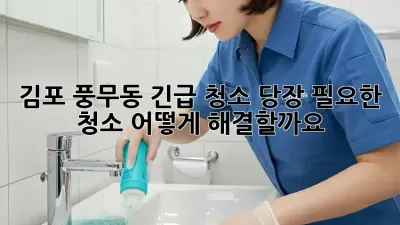 김포 풍무동 긴급 청소! 당장 필요한 청소, 어떻게 해결할까요?